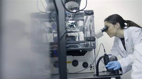 西班牙团队研究生物3D打印肌肉组织，将用于开发软体机器人。