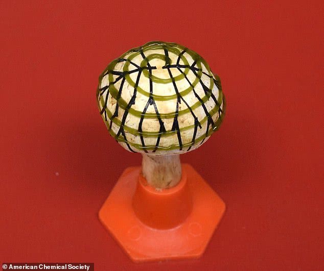 科学家制造仿生蘑菇电灯 用3D打印细菌提供能量