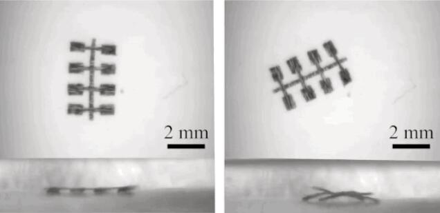 华人科学家发表于Science子刊的3D打印微型机器人研究