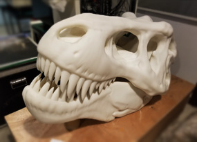 恐龙头骨树脂打印
