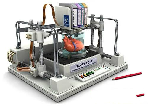 新生物3D打印技术可快速“打印”大量微型肾脏
